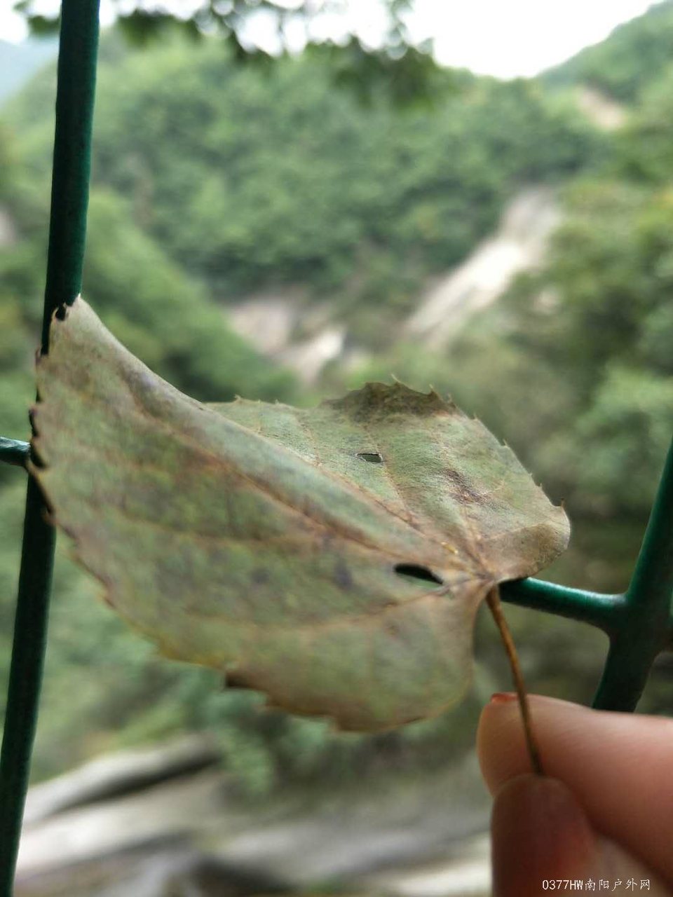 XBJfpxRdaVOthLpf-EL9gJ--c0hmsn-zaJCbJ2PVw5CTiazKELFYVT9VGKo5YV1X