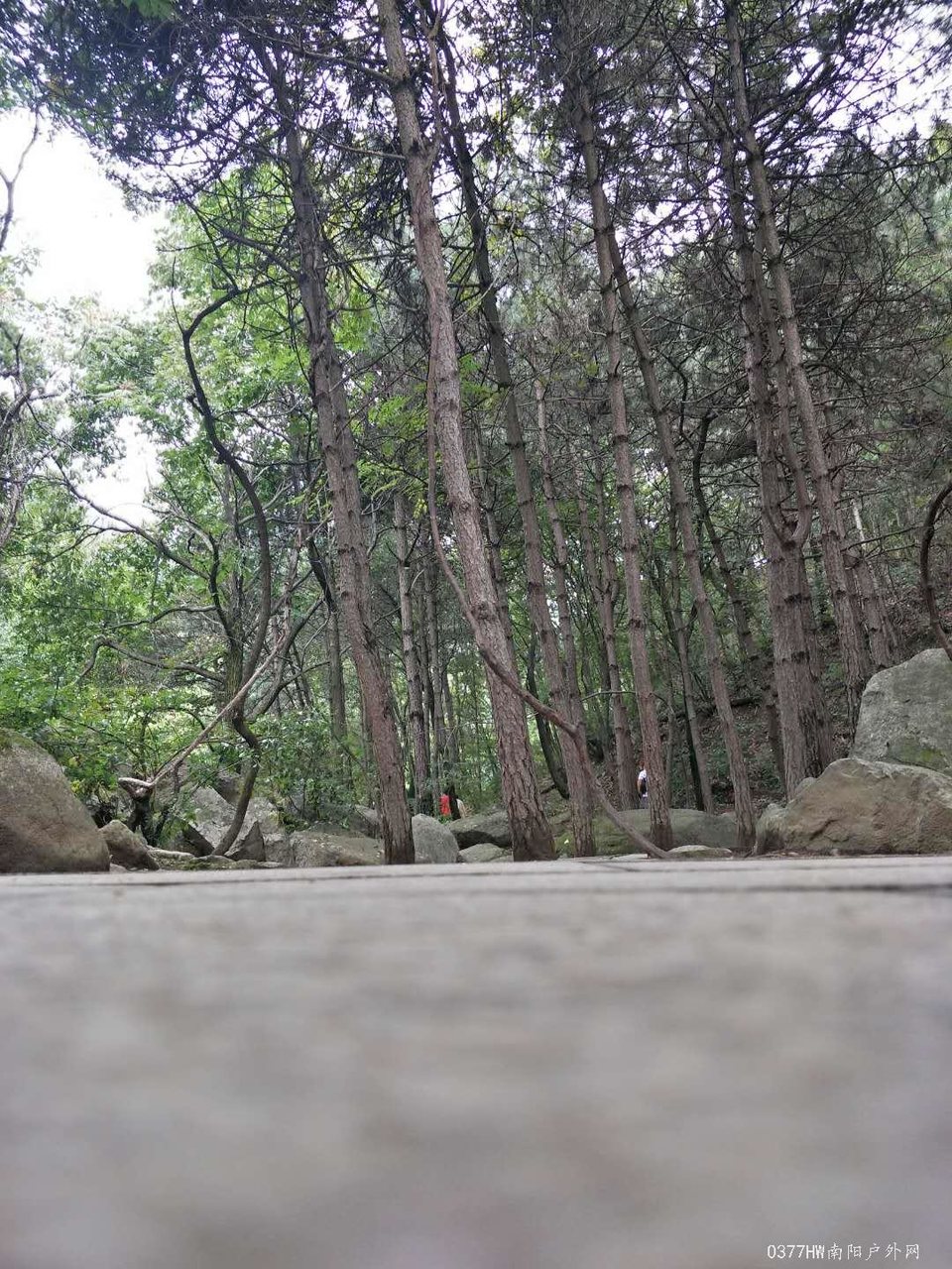 tjWibmCOoadhlj_vZ6nPnp3dNy2fG1dmZy_f4SlX9YdUoRxGcaS2Ii09ITpURh1S