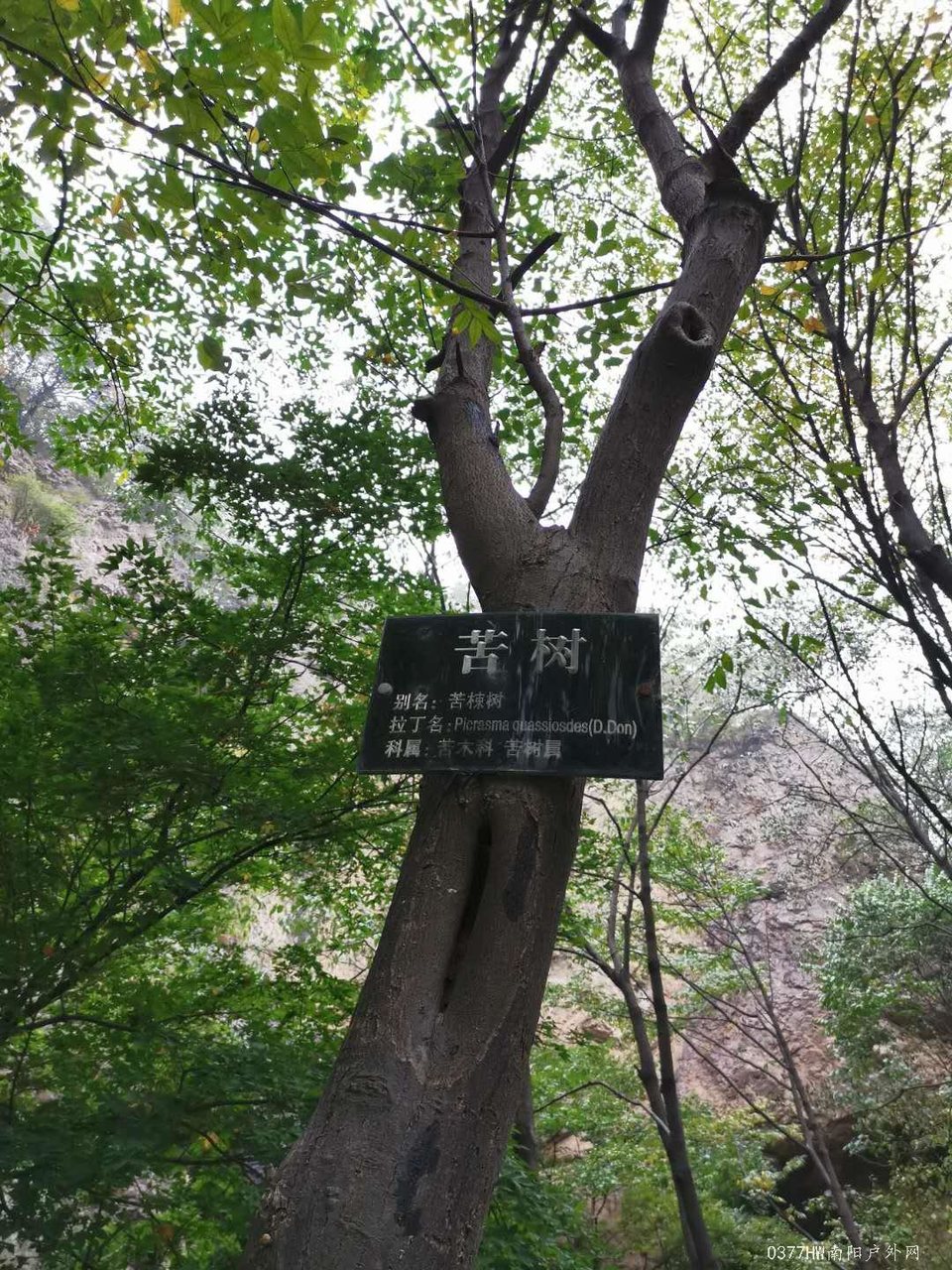 HcA1LbIrCozVcdtYcoPTWy5HMyVPS_fOnZ513SYONSpxyPN0FXfbfVatTmXu1vrO