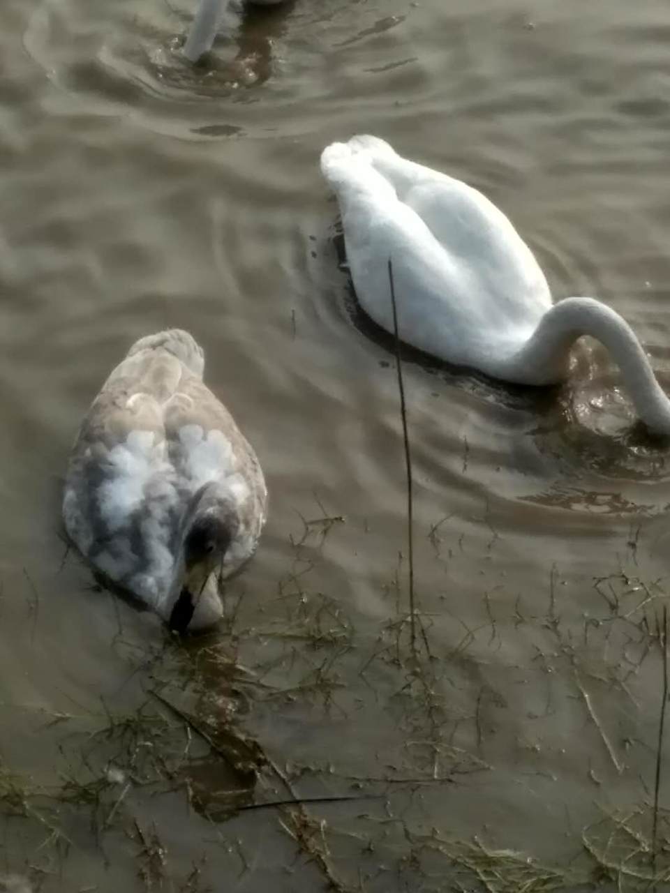 C3NTIq56BXtMj2zp5pMXrq6kWNZzltfx1-BHYgwyeYdBU3_JYvX4tocmnZ5rjZcB