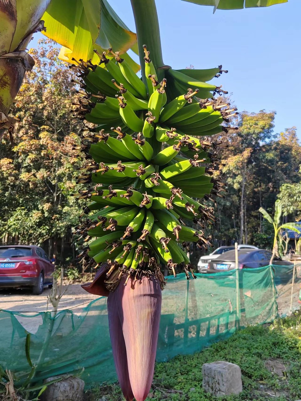 zqklAu8kXDeUi6TmrOi4tFZpdVhnsnfZ0Pbg9Hfzh9FZbqpNUDUe6Wqx3QA6sa7O