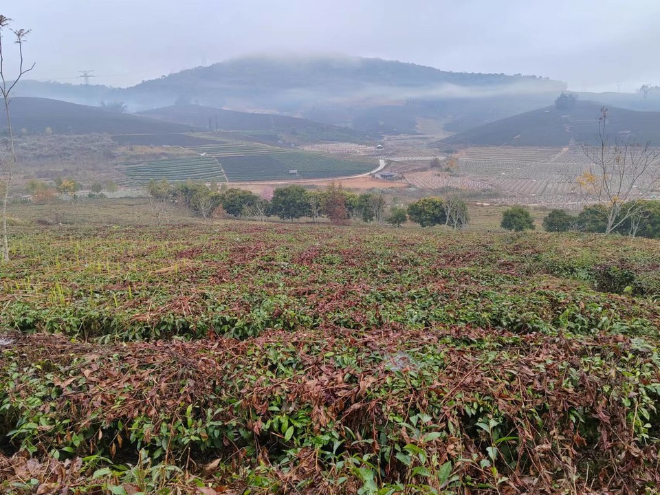 zqklAu8kXDeUi6TmrOi4tI96GLkAxit03JVkLOgLjfgbyhUJt8zfkhfdoWUhJlBr