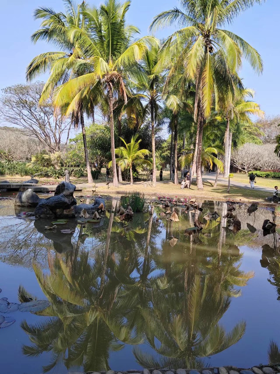 3VScxOOemvAix9BHHjNmQb5YIXlPS3fOjIRykUDhwkQAYXB89kGxvAoIfR3yHmsa