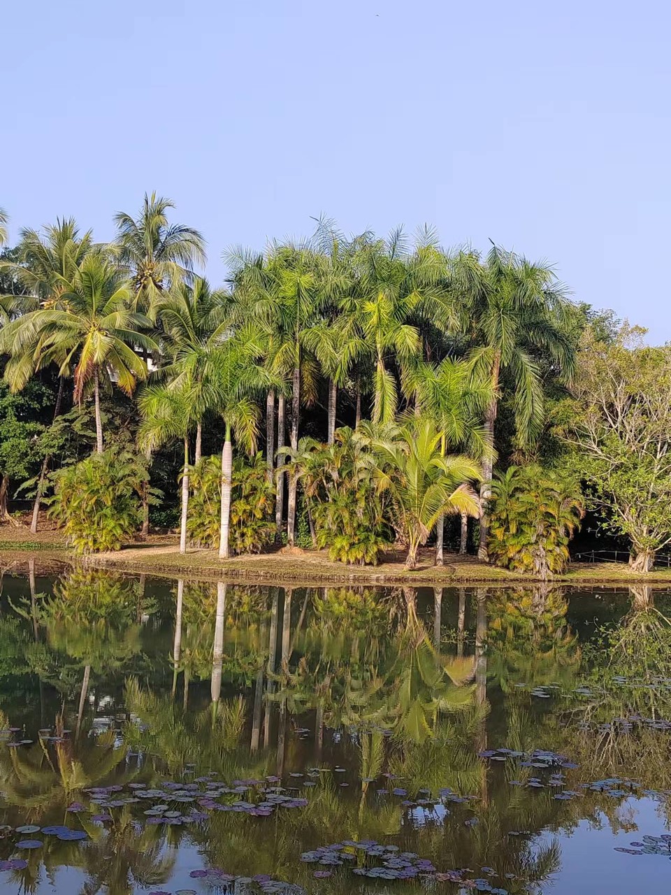 3VScxOOemvAix9BHHjNmQbGq244YeuRyuWB7aLk2iD0vjJvsoX_7eoIg4luQR21h