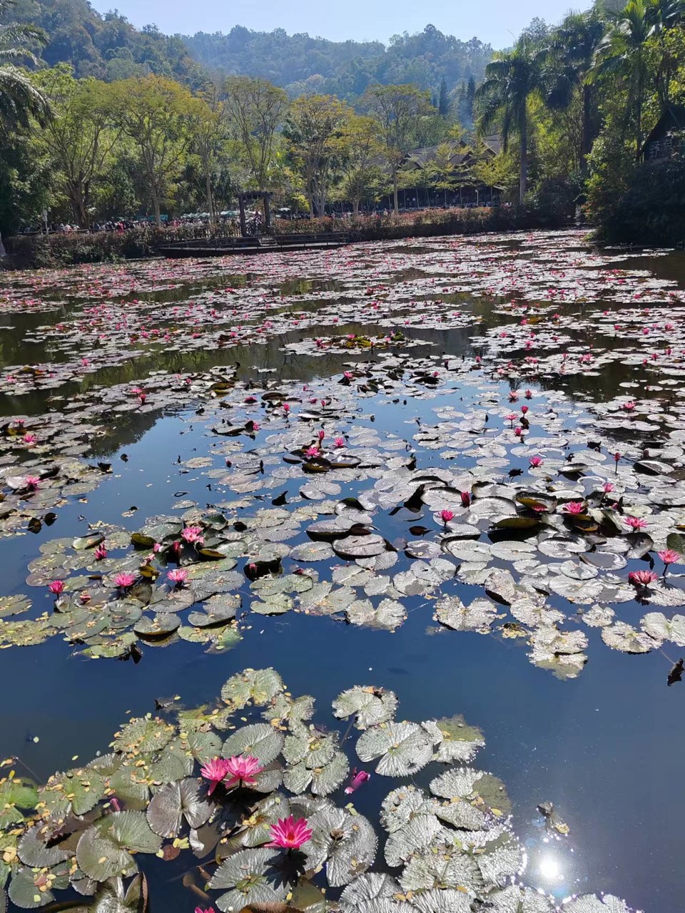 3VScxOOemvAix9BHHjNmQb9_50BRCAwJFw-5XLb_ijEzSsU8RoEcKg-ccVCMUgF6