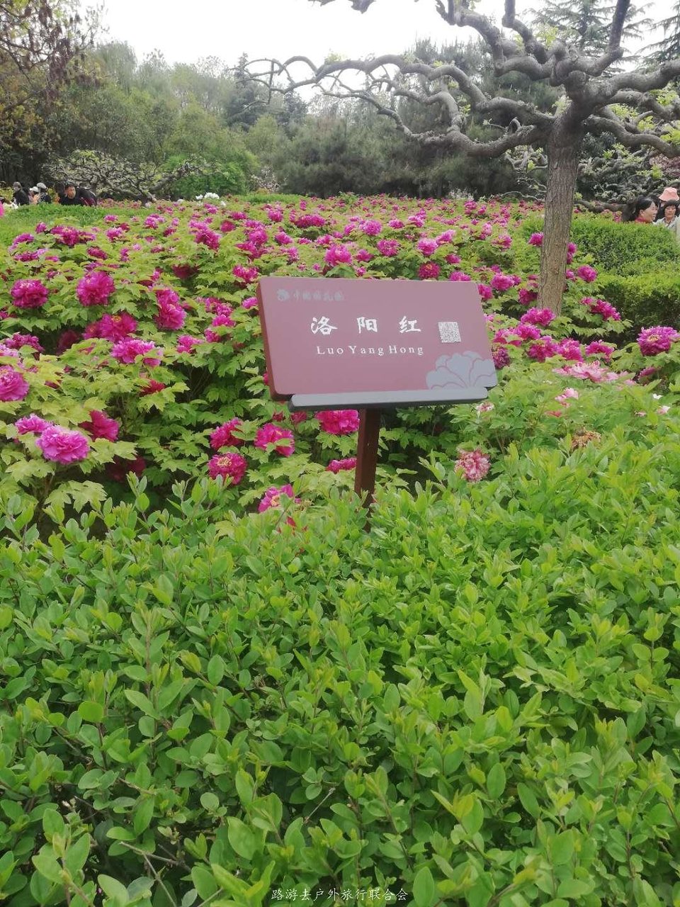 mI0u3hvdt6ZBfp5dPCcwFY3KNuDCe9Dcg769U4_HQH3Rit7X6K2vTiEAUdrBH4Nj