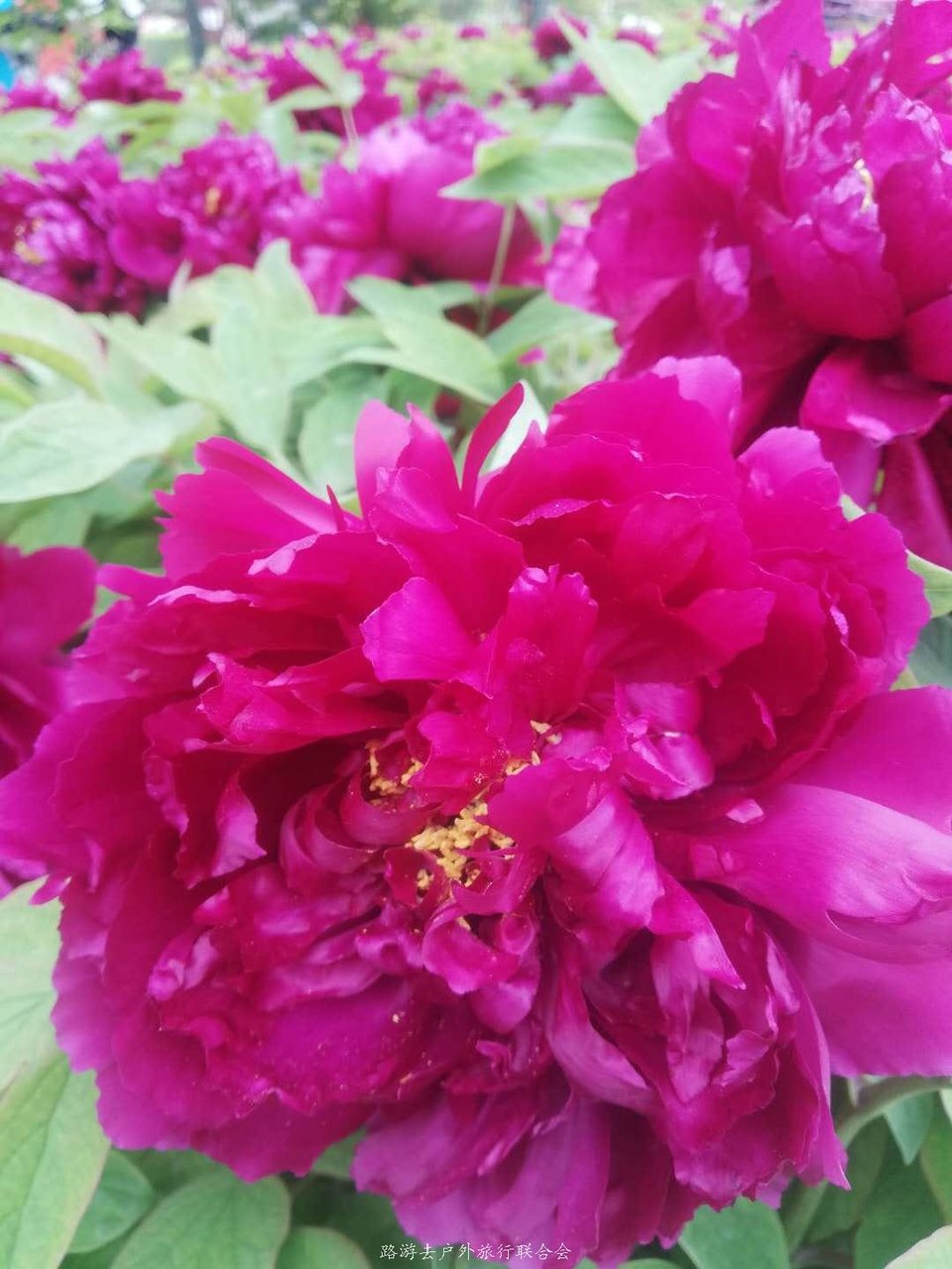 HjnCICitxRfuDD5tJp76LQB88ac0E8HydUoxtmWtkMnEYF0wvtUXtyH979nRJzWA