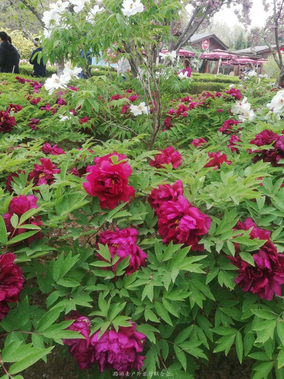 zDi1ydDVueTMwAi-aQ3R0f10UmX7t58aMkRiuN_dL98IY114lpHy8_1PHGBz2s-a