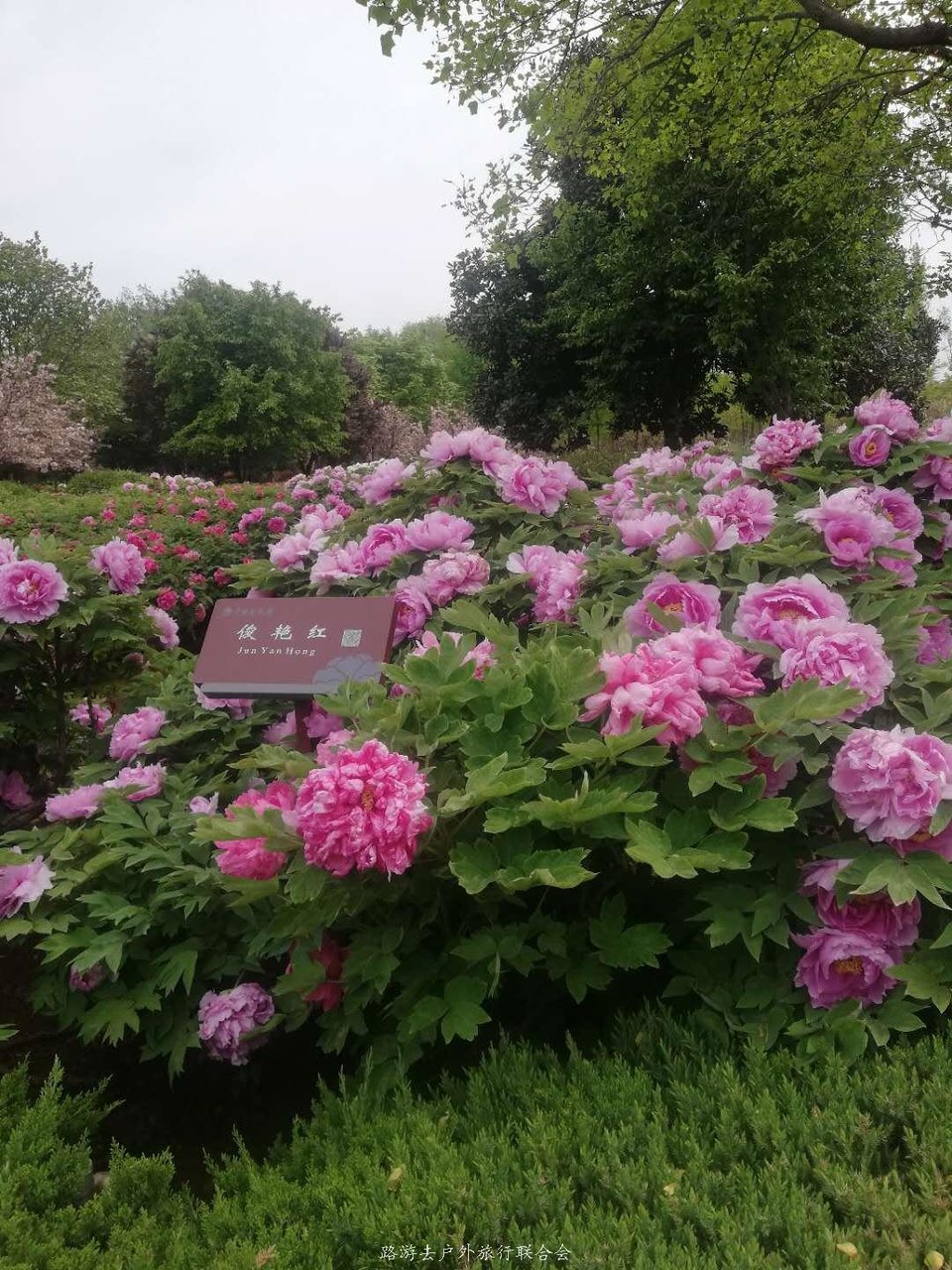 o4XrbXSigx4FO9iyqpJFm5GXcYWnjnLawbDHmpWLmxWlumR9wz6juhhX_9JeG2lz