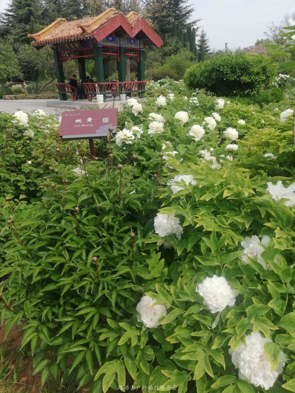 -jdQot5Bg5zelUoMSoh_oaEc5K-vjJBvsrCWc6S-XKS0Cvpnw4RGuomYDlxqGLNf