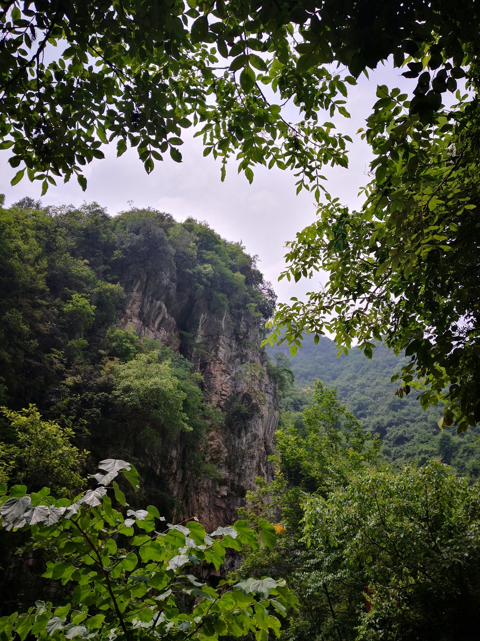 S8JMig_pDOpnpruAc1qB1kG8_d_xvBppBUW1DTf7wqRVuaUfve_V2r7jTNAUZnSW