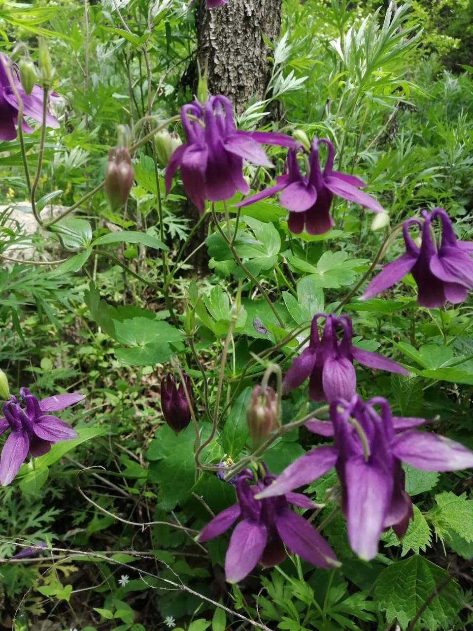 llgJBKR0NPyM-gP8LQ9g9O_86TTGHW57RuYHR9_eywNuBKyBV79qsVGsBDgbu5-n