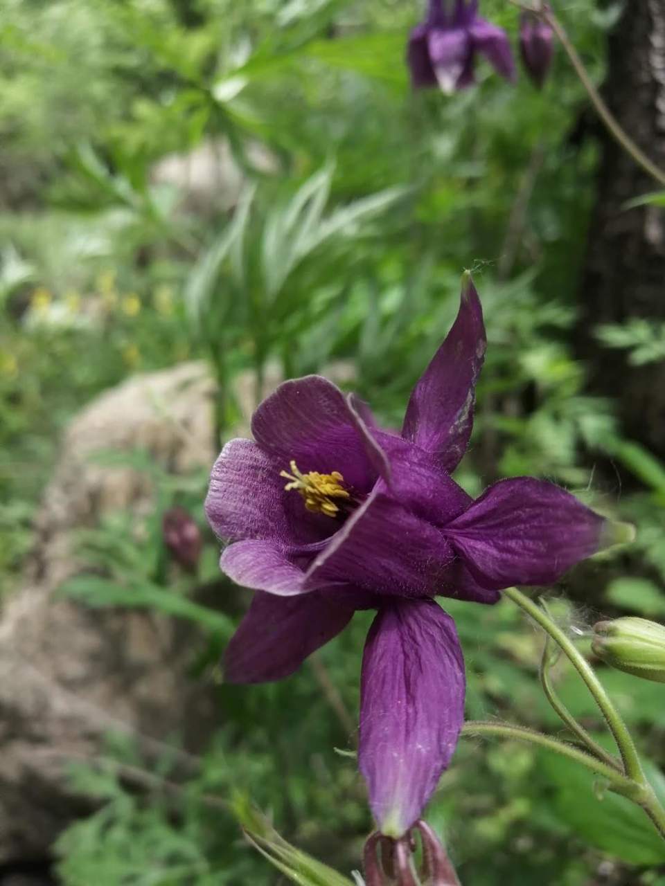 U5Z1QVKLgiPtSYeJl4Yi5nEUHnJ4PMZC3L4dHTL8yUJi1zMSVTKjR_kuxcR98FDf