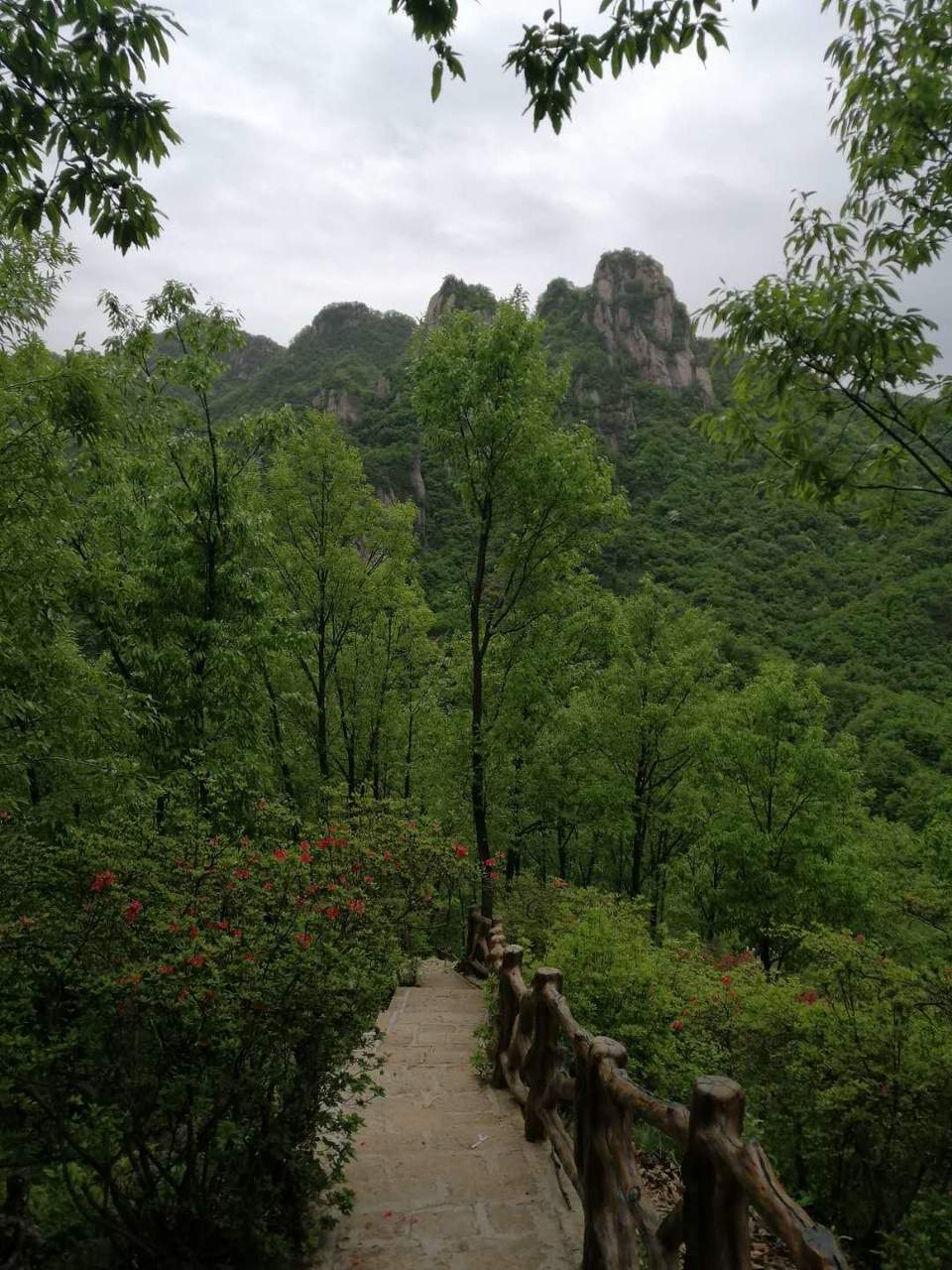 zUE1q_ykTz4s22EHBmYAe5vDJxfBX_6vI5ZX1aBQoUOKhWMM2lClkt4dHaPT6faP