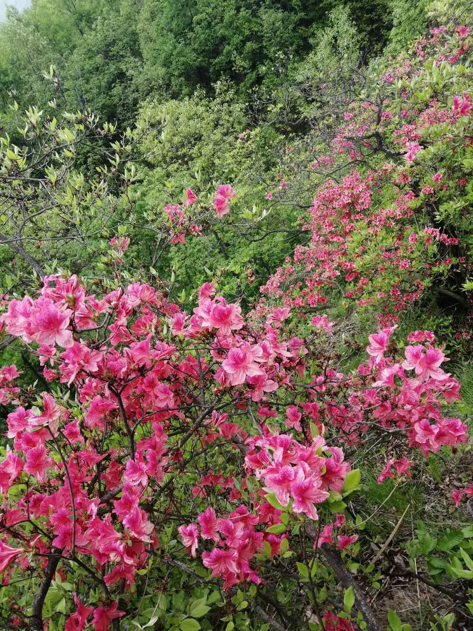 MKByJJneuT--ZXW_Gjj7x0QCSNhyON34rU7Y8InAl_9kPEXJyvdxwE3_HVK8y6V0