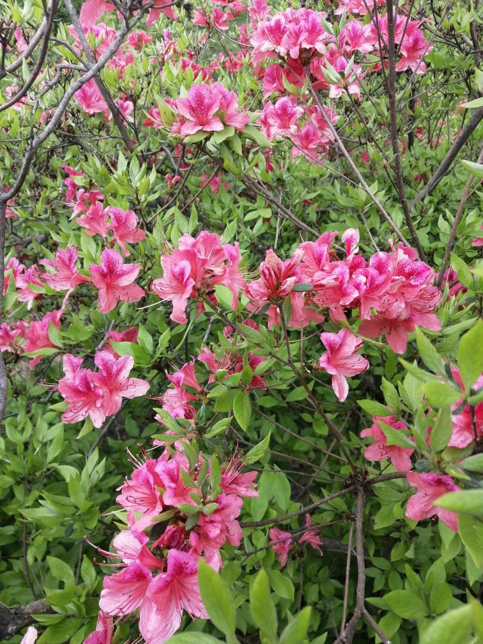 AH2LBu14TiZbhuqsMayXo8SkEHMwdRVADOxv1g1OGz60Lse80buMl19z2rTF1_9X