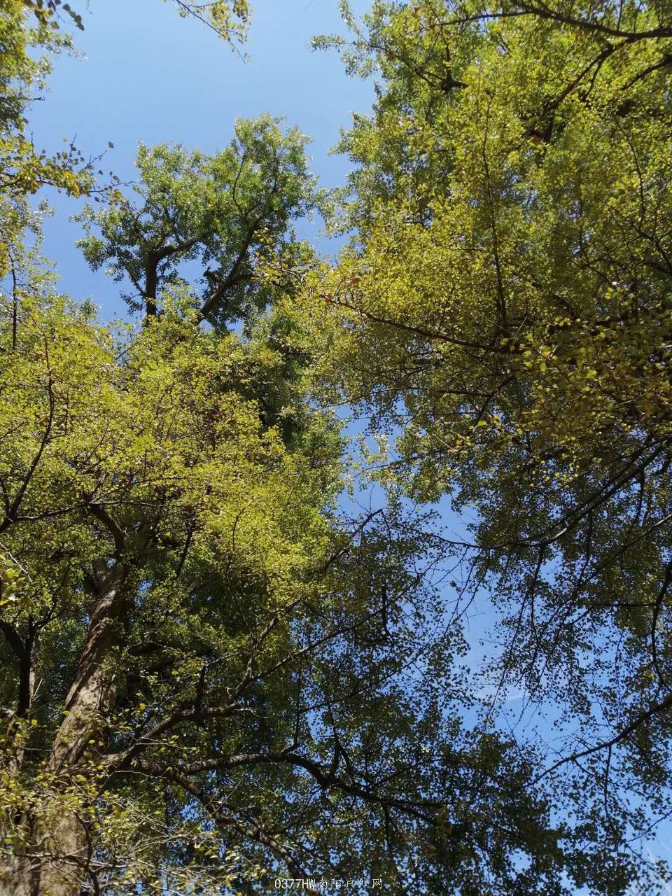 Xm6dLJVEANdWjz9taJNfXYctleuAv6bqeksooDCqdqTa8e5-JF0Rhcgays85d04s