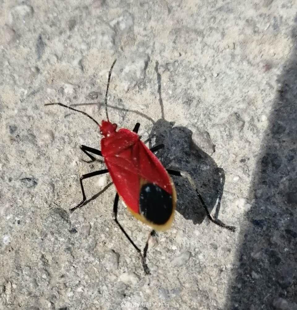 py_k79jjlRh53AmvXcI1xVxdAMqas1wXLNF5sv26J8lwgjxwJbQ11c7Q6fJnJHhy