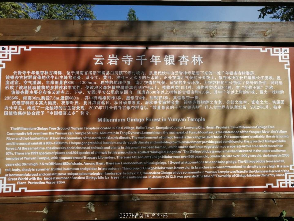 LS32M7LPibqtT-clpOQ09fJFZLwXx4RuqFarHZpZsvXTDEwYHuxZ8SVEDK5Euv3g