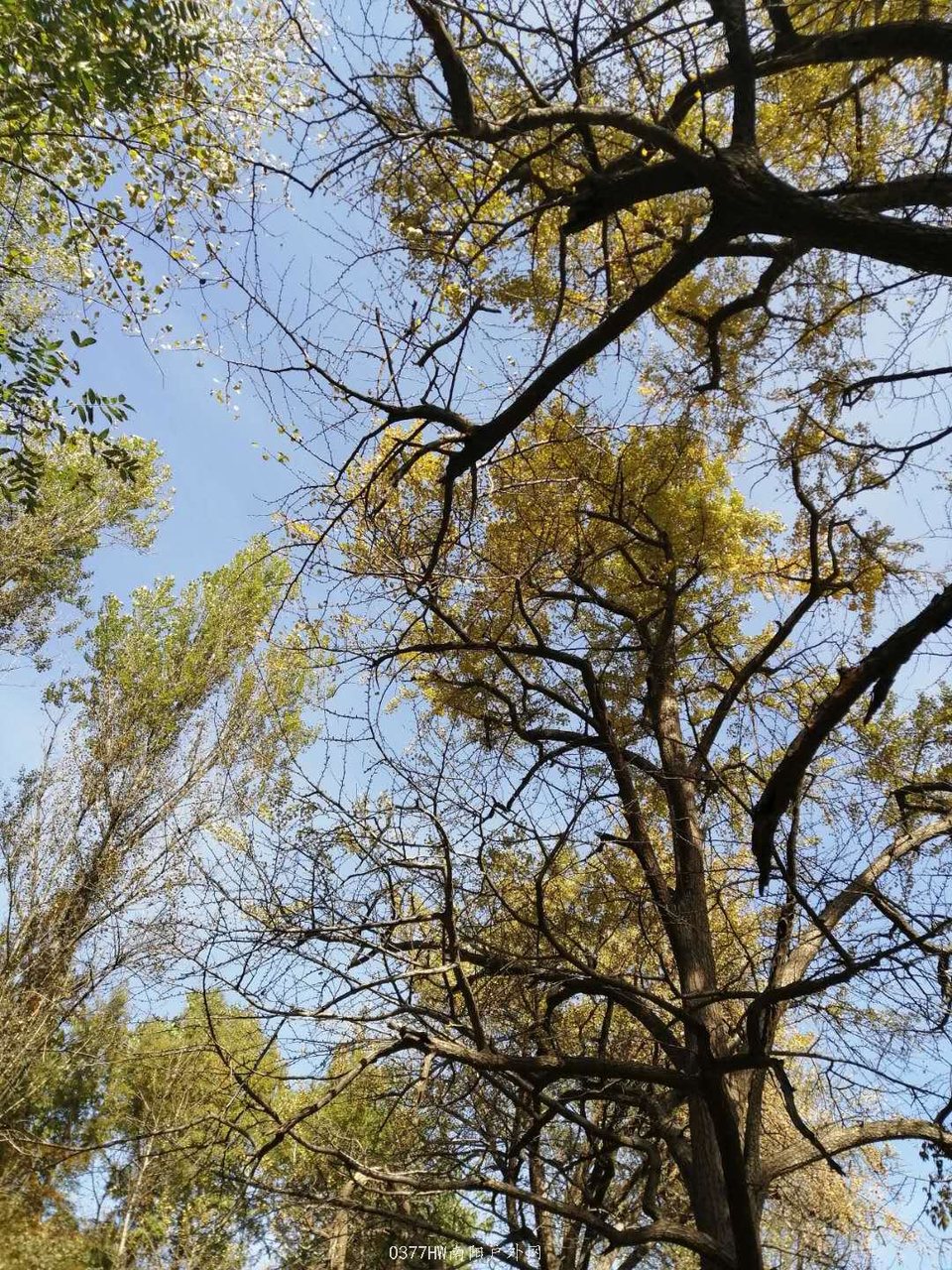 _aim08qyiz6SrmVRObnYHR95HzrpoTTuWeB9Jf9cjg_avRwERyMDuyqLVnad-0ME