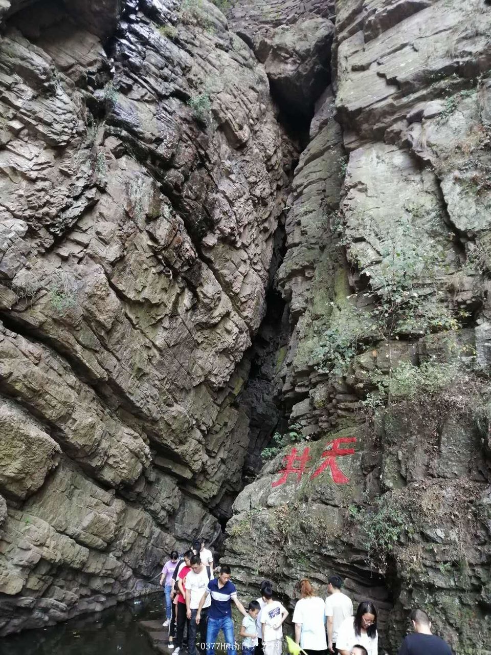 0SZCl7D7xTGPIzXZ7zGO8FIOTWPNGeSwytAGmMnv2Ohu4q97c-0Unb5774LWFTGH