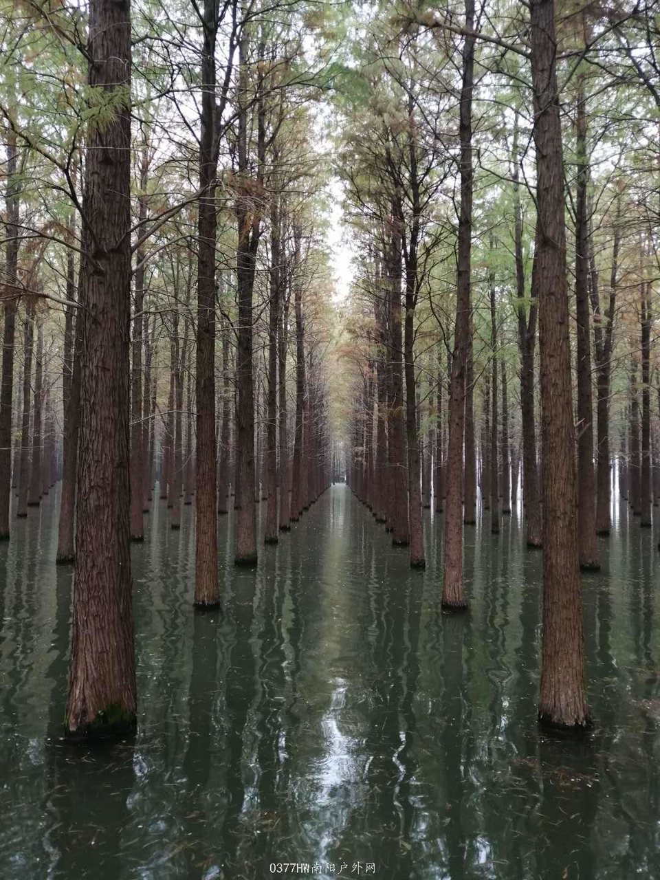 SpnZZgTAPC4_8YrjqWBByvmzWbCnZCA16SkBhfwdK_tNBAZTCTteHsbX35tAHsT3