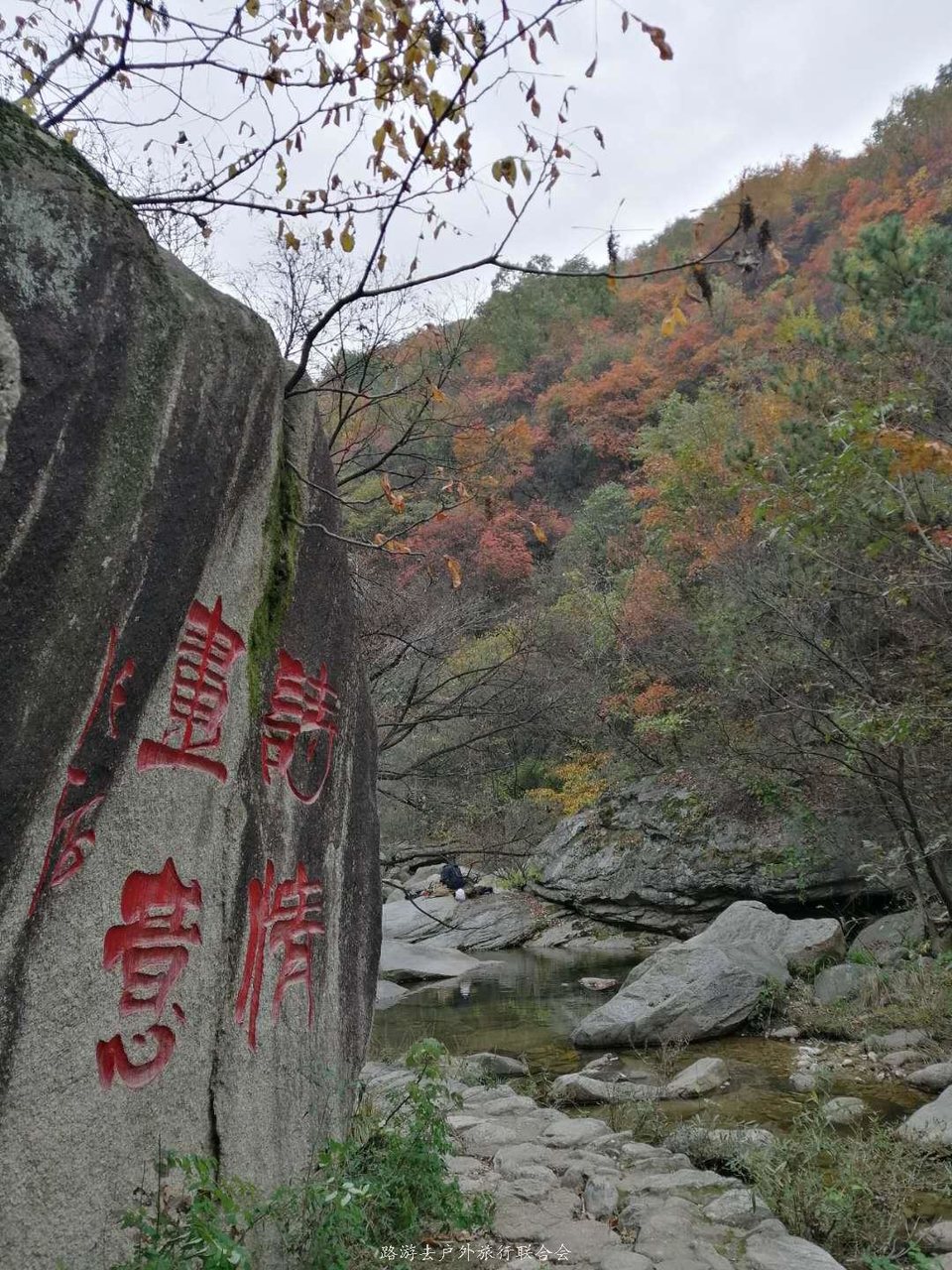 9BccBii6KjHiCD1rogfCObgseoyTYcN0XdY8VSE45kwB9sGiNUhIYUMCYlX9lvwN