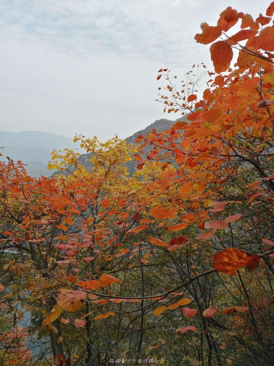 gOhArDjc0M473C3dUQVs__-U04x8Br7Rszq1YRAgqbEB1FlHwve47c__Fgeo4e6o