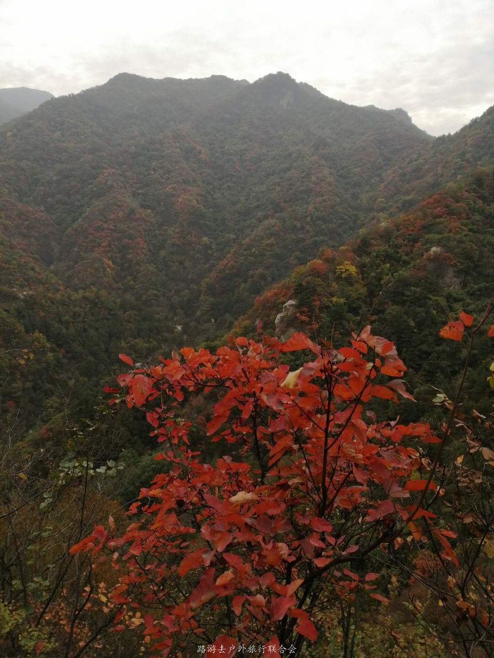 Ez9C3nayW2uLaVxsHyFFHg-cckme5BmPgQXQdy5BoigsQIAHlW71i8VjKG07gbuA