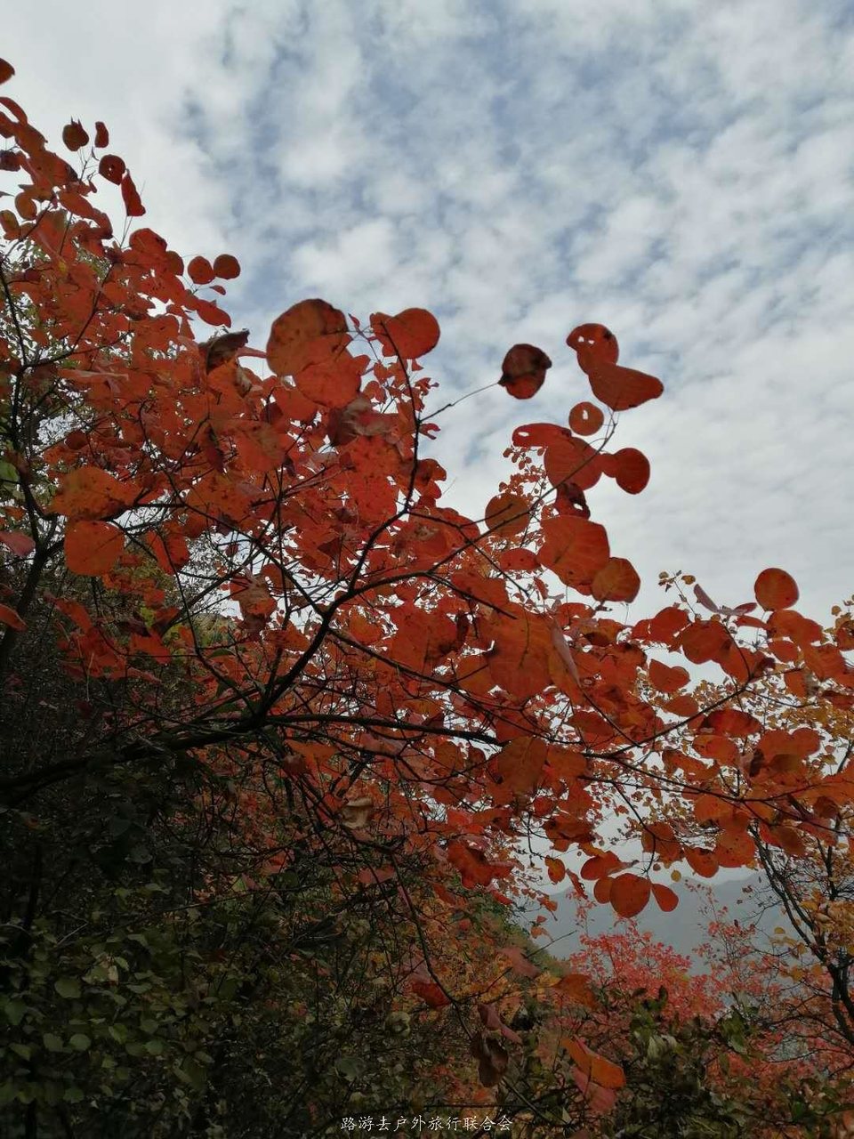 tk7J3NwHck1aC9W8ljZIHtewGIHcj81YTVzEs2NndpaLhsUrrir-YiECLm52kfyS