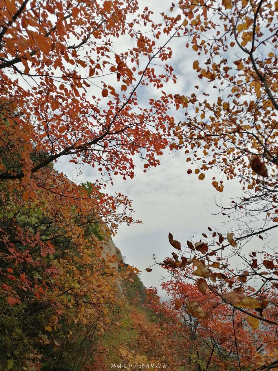 xPfxHMsQWaxThHrgkGJilYjZ7uu-kodo0_kYG2GFH8Ok529rtkQUJ_eX-cqSi0y7