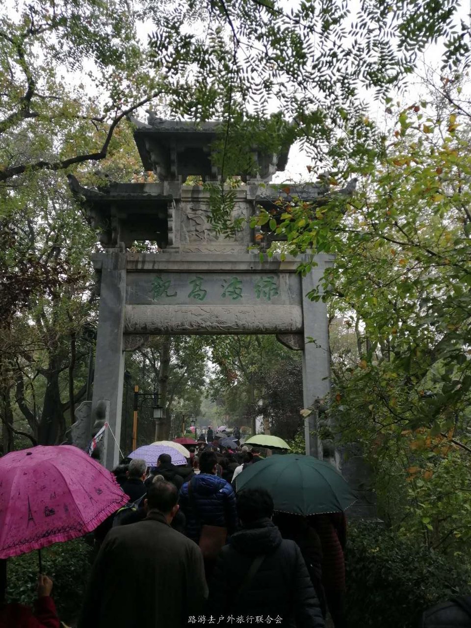 _JqhMOJUwZ_wUh9ltgqRgmBzfEmoCyL61osDm1SMPqeMCSu3k6_x-wVK49YU6Gcv