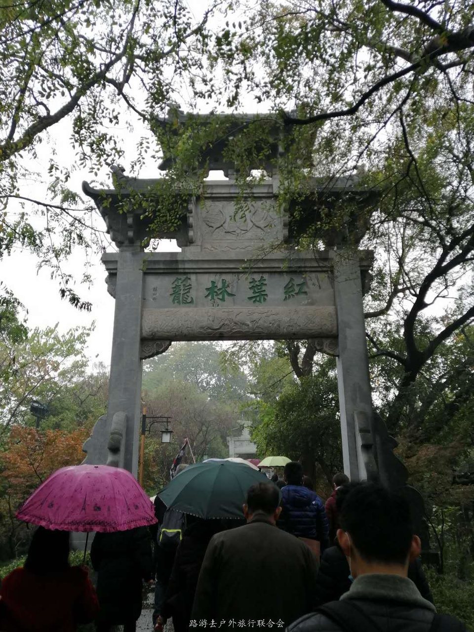 zwwCiFnLmfsyF13BV16-6tQiPEuyA6DUQ3x1z_z03gYlF5a1JcPgNbno019833kV