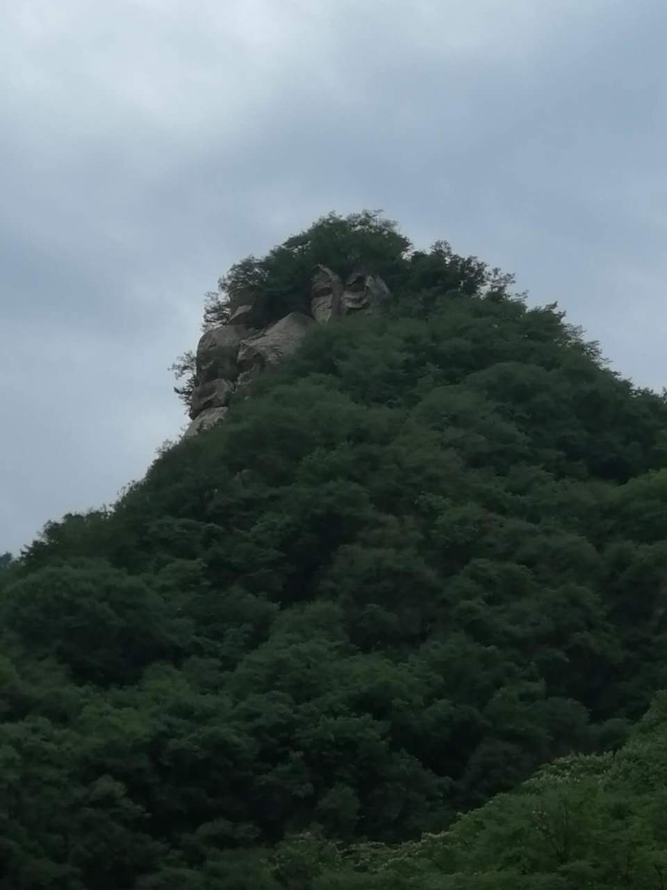 G66SHNAiugpD3UU6t-cbMQHwHMJzKv65kZZxzjJW7Tz_nS4rgvcnoJgWH0sNc0Qy