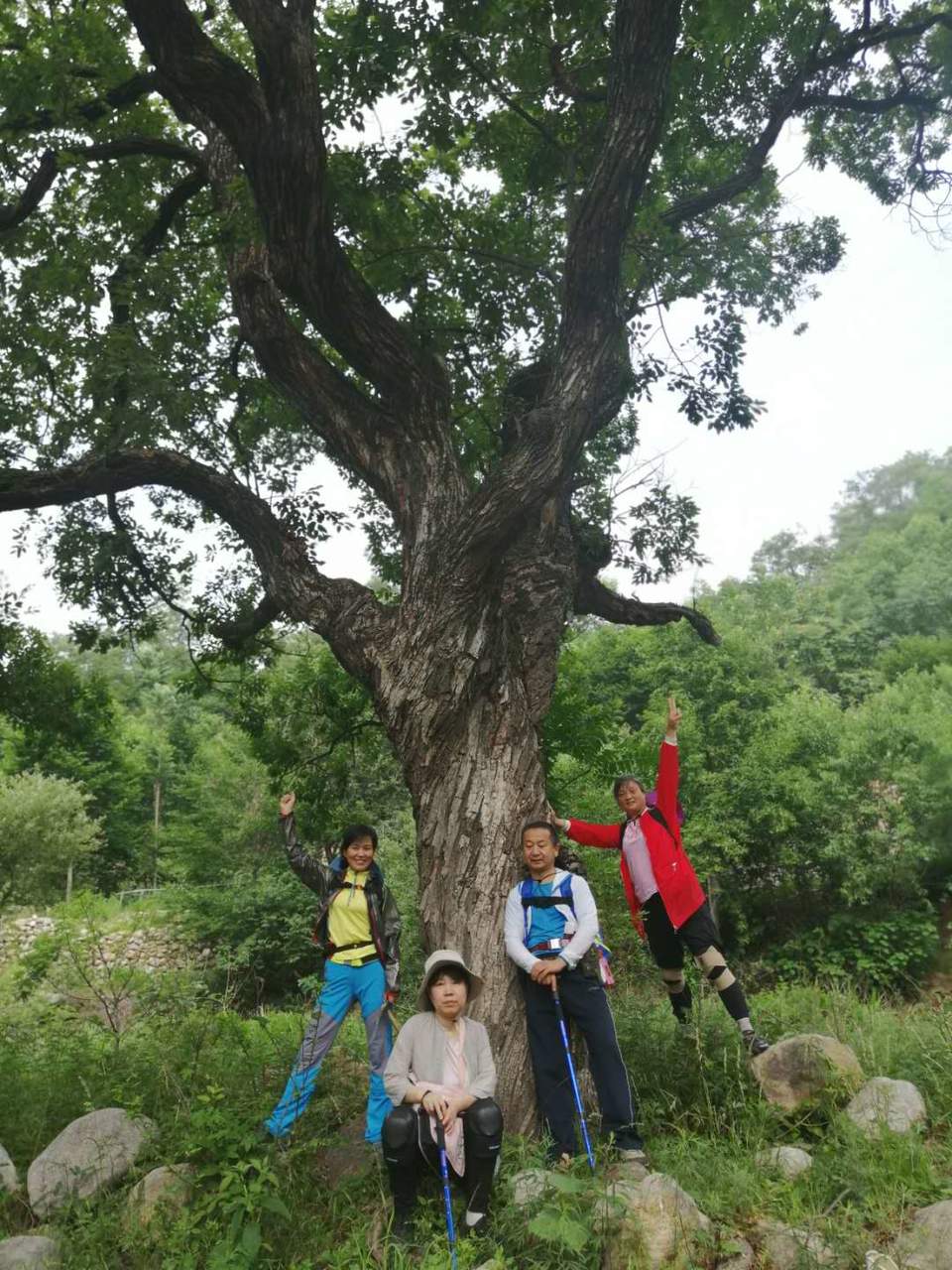 EOApffXhUXqD3wALWjjhyZtvMiVLn3OrEmVC9XerxzANSxp8ITEV61iugQLXcr8g