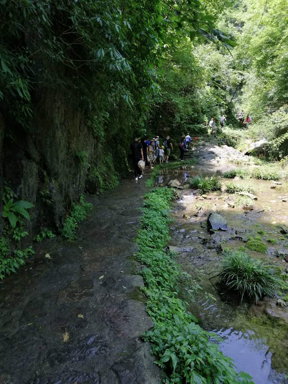 hD1cp-c98AlTNSuw28lvAopt92Hk1ozIr9AKgpk5jVYLEJI9G9H_lxntod-LmmUF