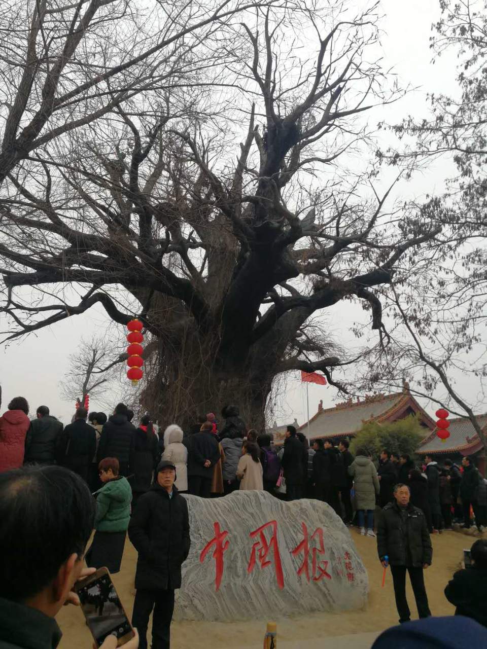 VuMW0xLmfnq3CwixykOfAK8AssYlrOBvR2XDFuAbrGeNtjmKGJ8_2TnzSBexXMxT