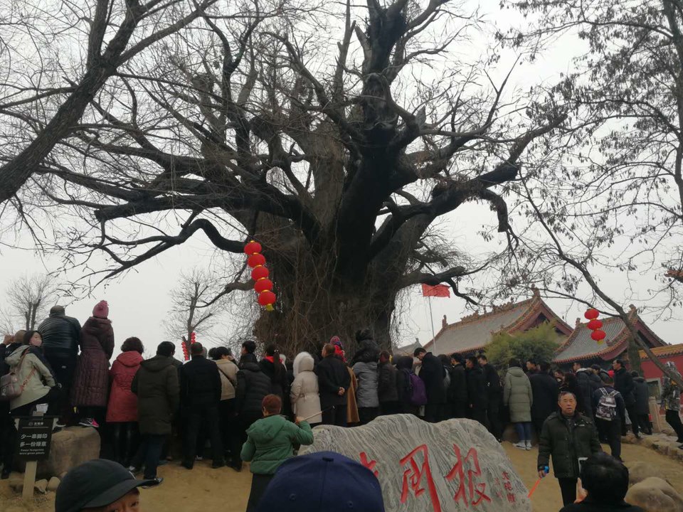 d-fa0vCfLCDjb_8US3IIY1enXAyzVemsWB3bamPEF3Enrk5cD2K8yqt5-7-dn289