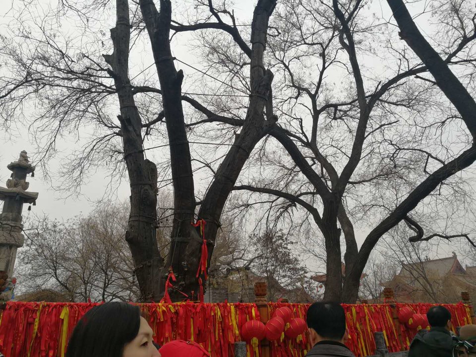 EF4X5F9DNoqHC9KJFhegAjBvpaqXz8dk6MQp4iqXojW9TjCZzvZE6kFfzHekTyjR