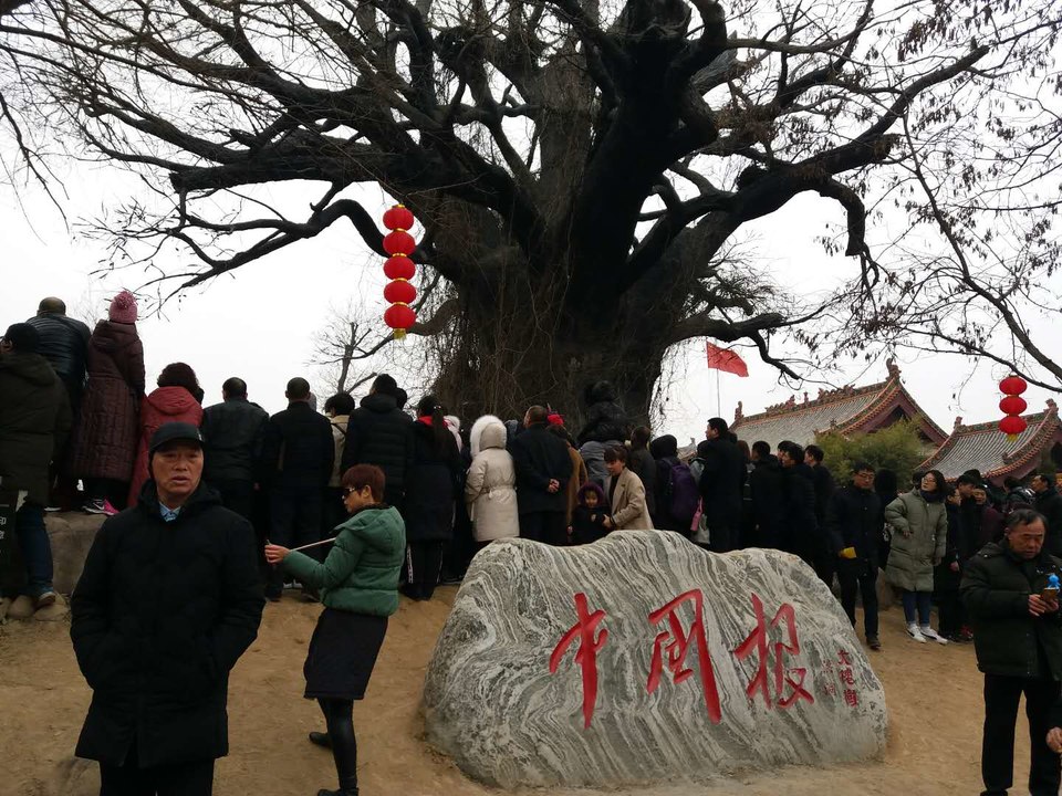 HbG2jR4meSeKTZ1YXk5d-0fVGi25cs3LOuJCKlzZdyFYpCPx5B1rBbuDOPcnMRWr