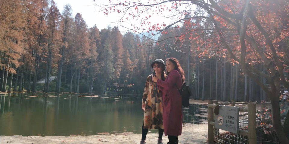 lDZMb7gi-Vx--CnA22oNYJWsNhv7shydO42nk7m4l2U8Obj99rql_v7Cd7QBAB3z