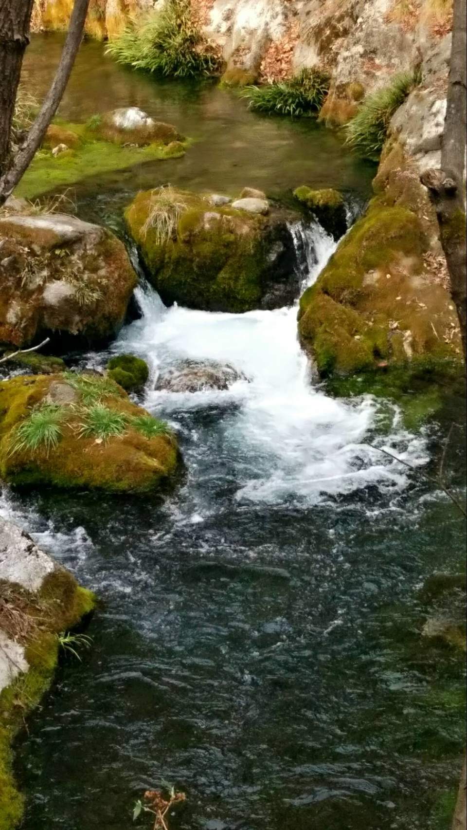 f5rR-AAU0Tz73kd2qe41Z4yzLgWUUYYd3GW-a4P7Jlokve3ipi_w_HyU9GmcIRLX