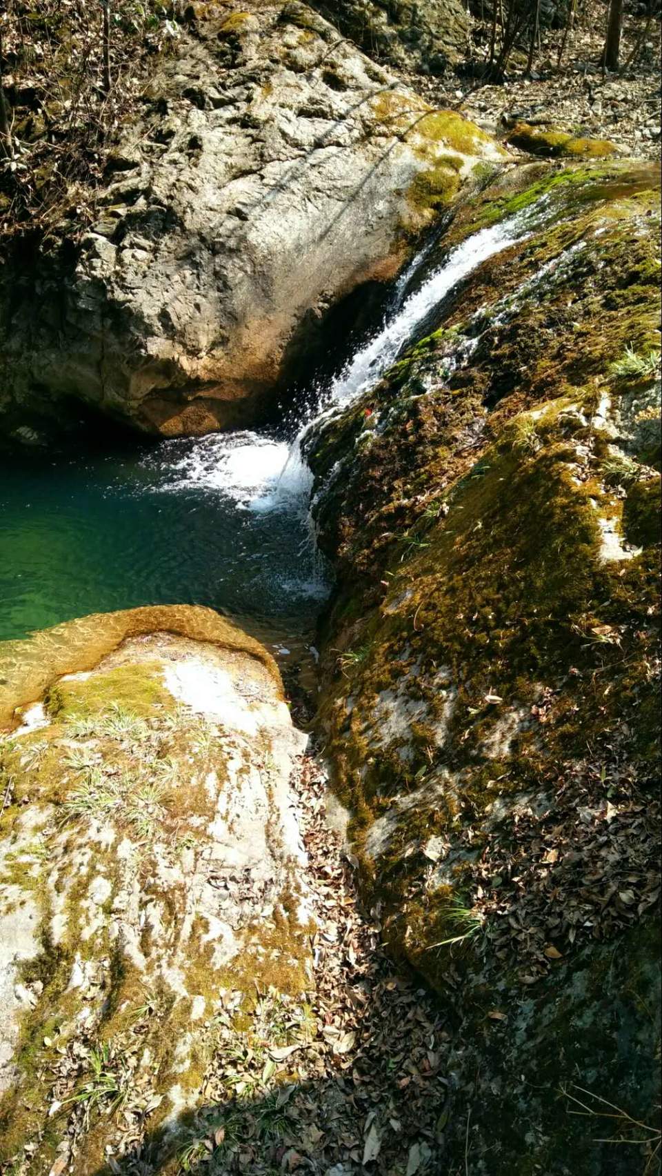 A5z2CxoJNcPahd-ITn3q79nwC3ogolv7HuxInGmoAJwKQTcNaLssJUlWLVQ_t1S1