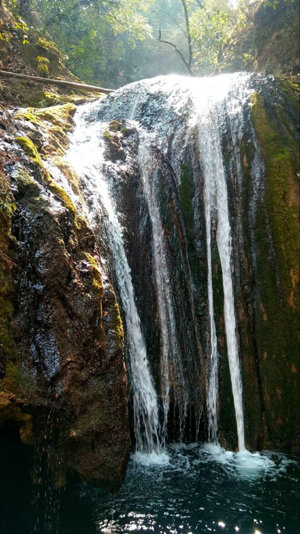 8qfH6qm1uLWXRvJqofdhHX0quv9kJnN2Vv4o4TJOp4cvYxS9O8v0UBdZeM0Ok4w3