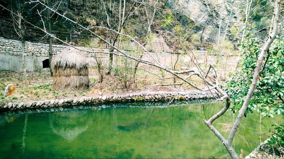 0GgSqkQ4HGHxAIxGNK7BqZvE4f_upzU_KJ9JlbRIBXwoRIdTXbm_mNi4jMatJ6rc