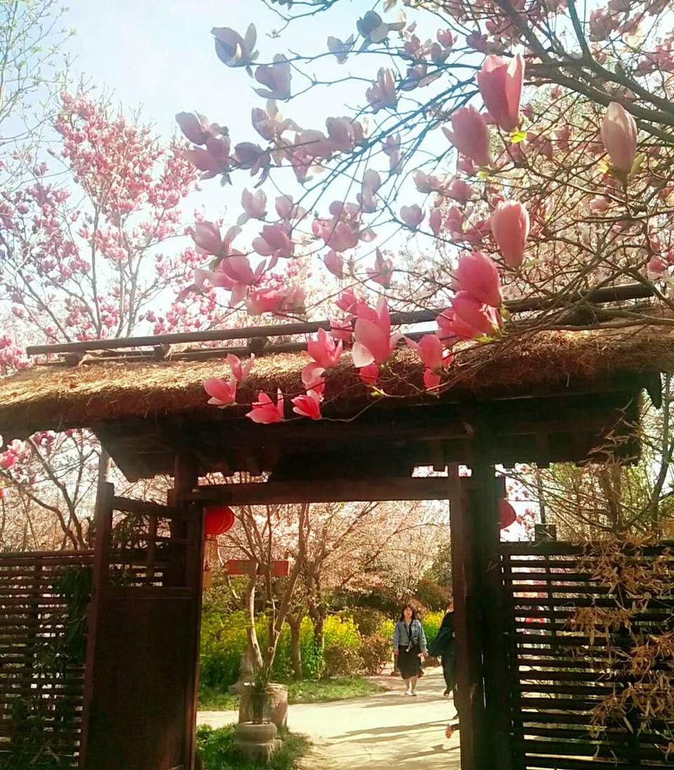 fbaWhFrNStuASBBN0MpFMotVBzB1BGQ-SIUq4cKBKHHt50BI90nXERRtO8j-SaCO