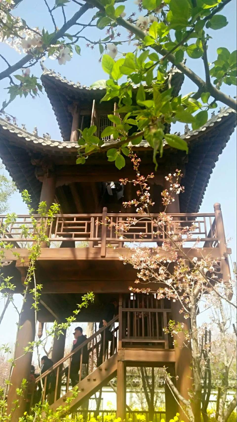 HKAs7mV9kmn3ys9cFtNHbApf7mXkrGhuAXl10Xlge40KKYZT0BdWF-0YxclwWB2A