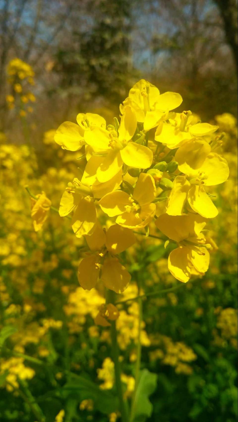 JlDw3Nd0ZGQeyu5m7V_UvwGZh2_jmgU0-H1PEN7IkqU0kBghM1d3I2rqSjO11o9c