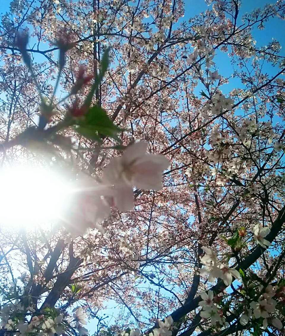 ox_JlT05VDA3MrauUEAmixxzDKy_VAU9PnvpCDaA9VSlMqK6DKYEIZLlf1SPzzgk