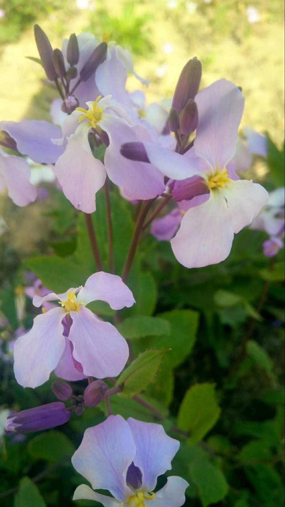 laACayxPmL8jTl2rZj7sPyP_XSjjZgHPLlzYQR4uL3naZLAa_nn5yG88s71iF8Le